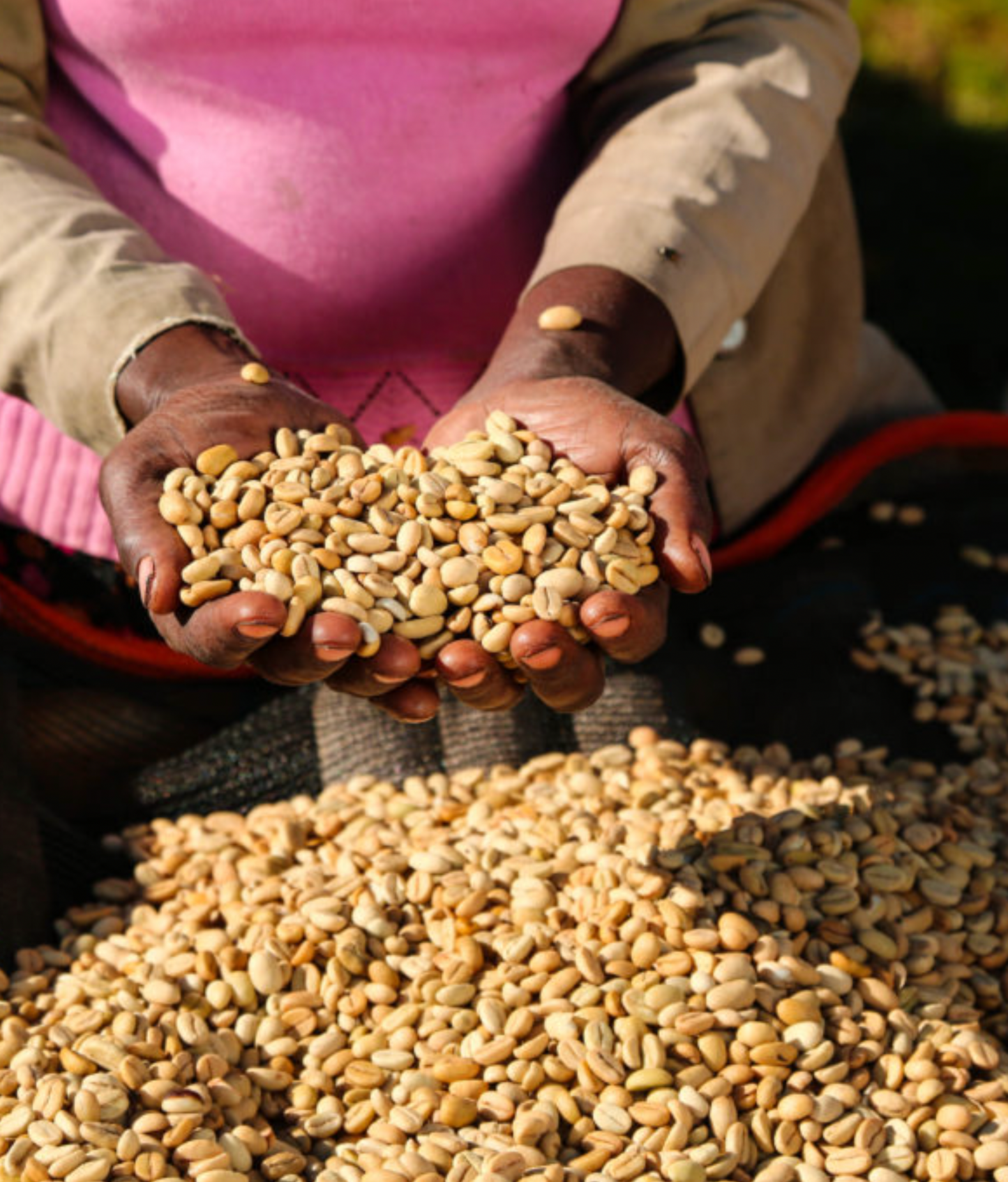 Dolly's Diamonds - Single Origin Ethiopia