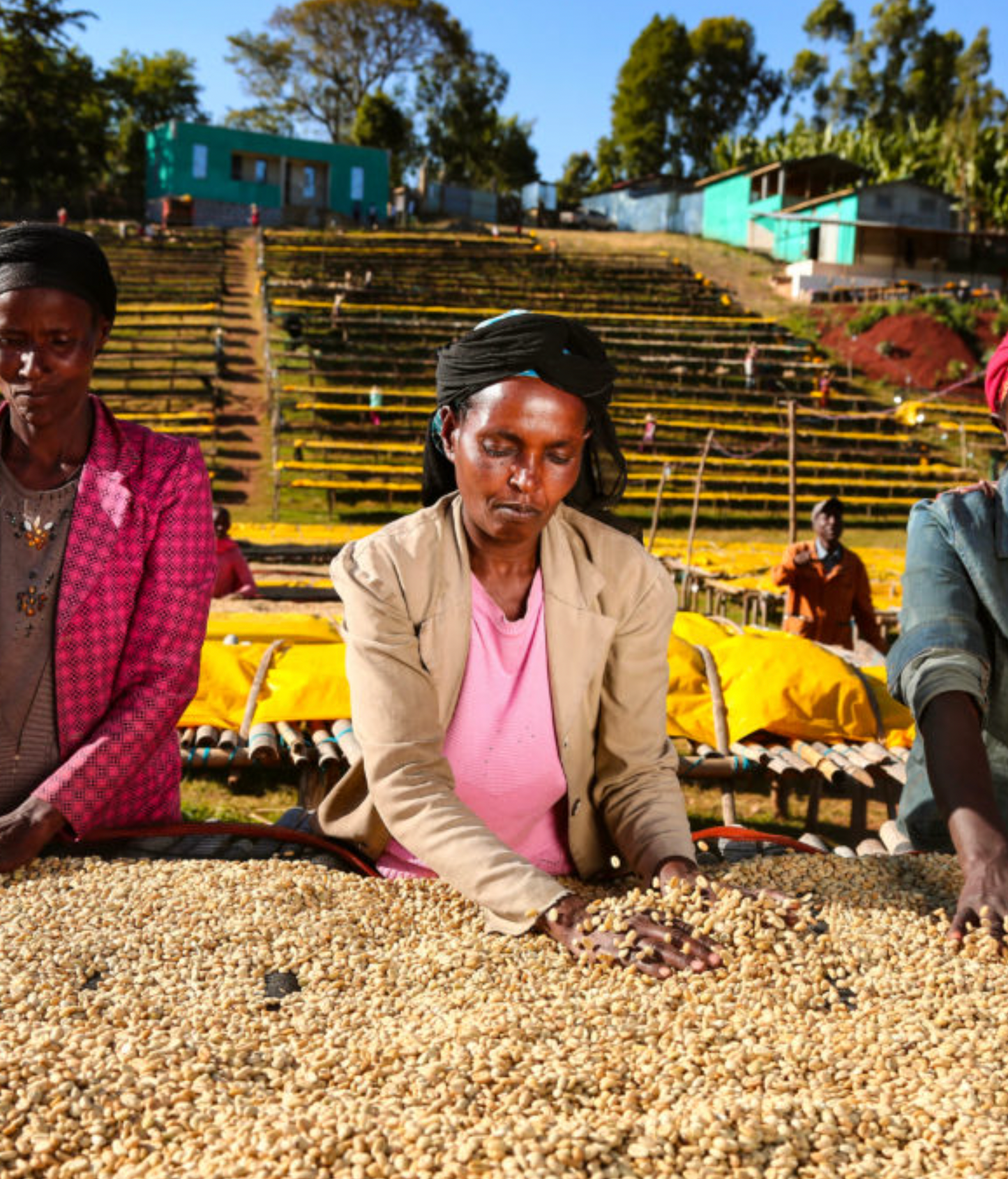 Dolly's Diamonds - Single Origin Ethiopia